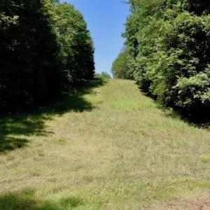 Photo of 148 Acres of Hunting and Recreational Land for Sale in Botetourt County VA!