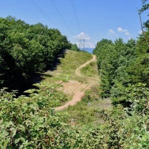 Photo of 148 Acres of Hunting and Recreational Land for Sale in Botetourt County VA!