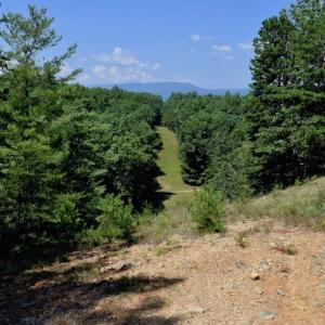 Photo of 148 Acres of Hunting and Recreational Land for Sale in Botetourt County VA!