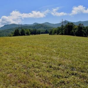 Photo of 148 Acres of Hunting and Recreational Land for Sale in Botetourt County VA!