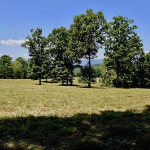 Photo of 148 Acres of Hunting and Recreational Land for Sale in Botetourt County VA!