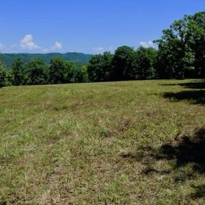 Photo of 148 Acres of Hunting and Recreational Land for Sale in Botetourt County VA!
