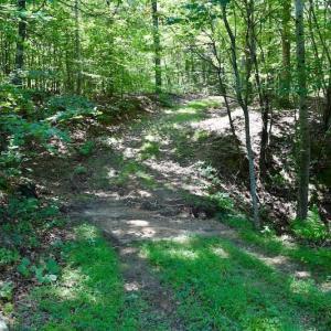 Photo of 148 Acres of Hunting and Recreational Land for Sale in Botetourt County VA!