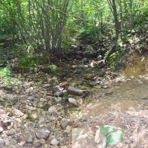 Photo of 148 Acres of Hunting and Recreational Land for Sale in Botetourt County VA!