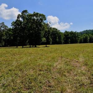 Photo of 148 Acres of Hunting and Recreational Land for Sale in Botetourt County VA!