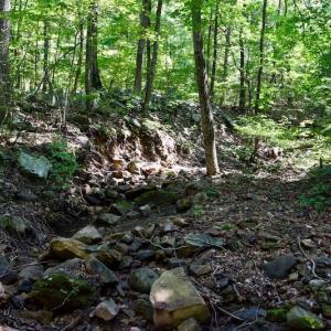 Photo of 148 Acres of Hunting and Recreational Land for Sale in Botetourt County VA!