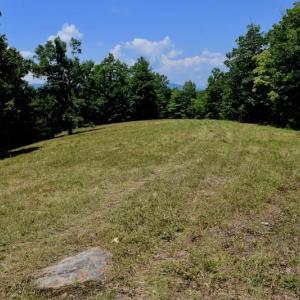 Photo of 148 Acres of Hunting and Recreational Land for Sale in Botetourt County VA!