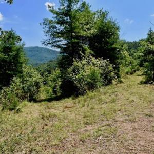 Photo of 148 Acres of Hunting and Recreational Land for Sale in Botetourt County VA!