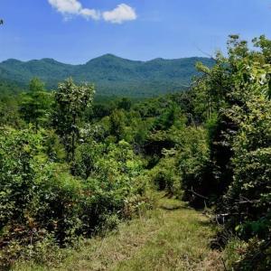 Photo of 148 Acres of Hunting and Recreational Land for Sale in Botetourt County VA!