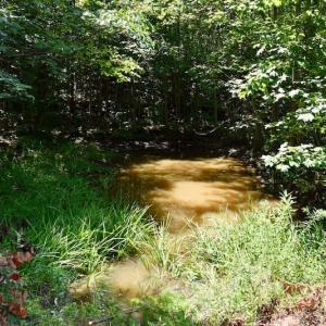 Photo of 148 Acres of Hunting and Recreational Land for Sale in Botetourt County VA!