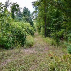 Photo of 148 Acres of Hunting and Recreational Land for Sale in Botetourt County VA!