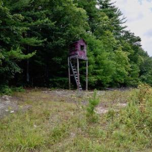 Photo of 148 Acres of Hunting and Recreational Land for Sale in Botetourt County VA!