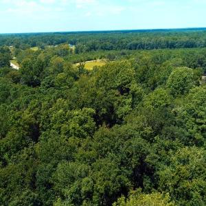 Photo of SOLD!!  5 Acres of Residential and Hunting Land For Sale in Brunswick County NC!