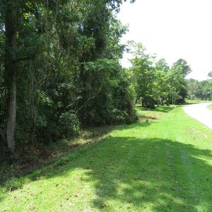 Photo of SOLD!!  5 Acres of Residential and Hunting Land For Sale in Brunswick County NC!