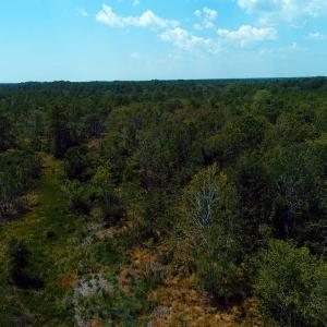 Photo of SOLD!! 7 Acres of Residential and Hunting Land For Sale in Brunswick County NC!