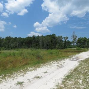 Photo of SOLD!! 7 Acres of Residential and Hunting Land For Sale in Brunswick County NC!