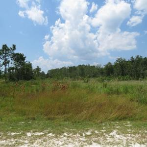 Photo of SOLD!! 7 Acres of Residential and Hunting Land For Sale in Brunswick County NC!