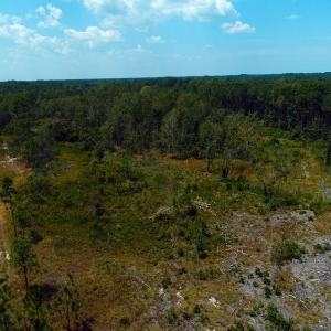 Photo of SOLD!! 7 Acres of Residential and Hunting Land For Sale in Brunswick County NC!