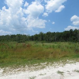 Photo of SOLD!! 7 Acres of Residential and Hunting Land For Sale in Brunswick County NC!
