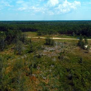 Photo of SOLD!! 7 Acres of Residential and Hunting Land For Sale in Brunswick County NC!