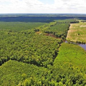 Photo of SOLD!!  83 Acres of Timber and Hunting Land For Sale in Warren County NC!