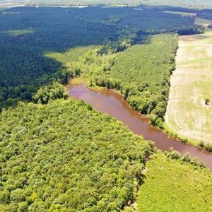 Photo of SOLD!!  83 Acres of Timber and Hunting Land For Sale in Warren County NC!