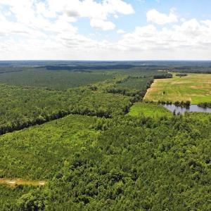 Photo of SOLD!!  83 Acres of Timber and Hunting Land For Sale in Warren County NC!