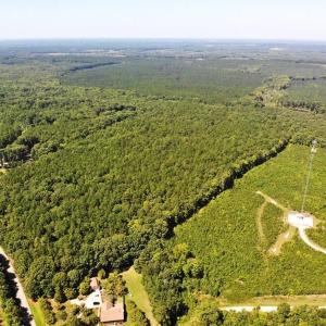 Photo of SOLD!!  83 Acres of Timber and Hunting Land For Sale in Warren County NC!