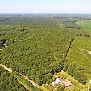 Photo of SOLD!!  83 Acres of Timber and Hunting Land For Sale in Warren County NC!