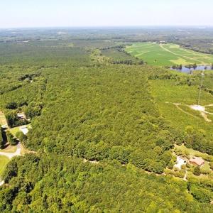 Photo of SOLD!!  83 Acres of Timber and Hunting Land For Sale in Warren County NC!