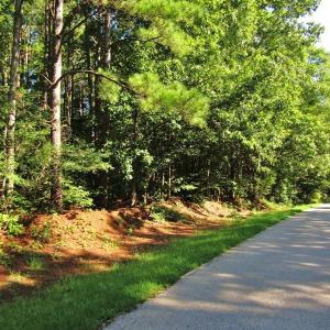 Photo of SOLD!!  83 Acres of Timber and Hunting Land For Sale in Warren County NC!