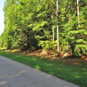 Photo of SOLD!!  83 Acres of Timber and Hunting Land For Sale in Warren County NC!