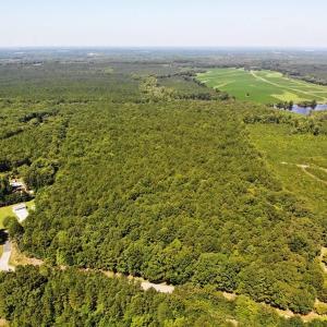 Photo of SOLD!!  83 Acres of Timber and Hunting Land For Sale in Warren County NC!