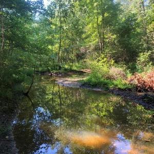 Photo of SOLD!!  83 Acres of Timber and Hunting Land For Sale in Warren County NC!