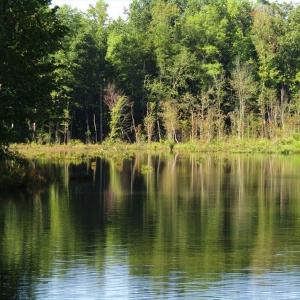 Photo of SOLD!!  83 Acres of Timber and Hunting Land For Sale in Warren County NC!