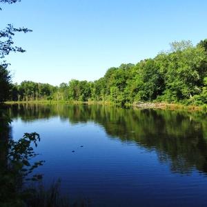 Photo of SOLD!!  83 Acres of Timber and Hunting Land For Sale in Warren County NC!