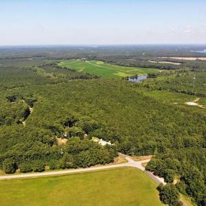 Photo of SOLD!!  83 Acres of Timber and Hunting Land For Sale in Warren County NC!