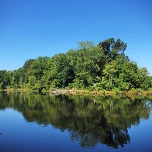 Photo of SOLD!!  83 Acres of Timber and Hunting Land For Sale in Warren County NC!