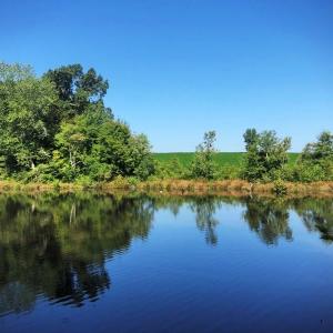 Photo of SOLD!!  83 Acres of Timber and Hunting Land For Sale in Warren County NC!