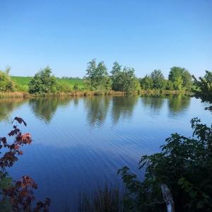 Photo of SOLD!!  83 Acres of Timber and Hunting Land For Sale in Warren County NC!