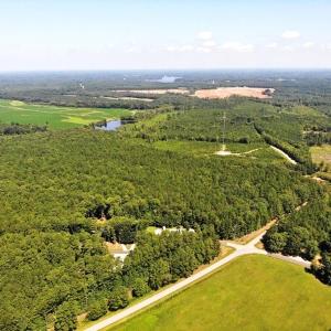 Photo of SOLD!!  83 Acres of Timber and Hunting Land For Sale in Warren County NC!