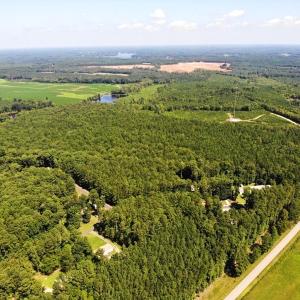 Photo of SOLD!!  83 Acres of Timber and Hunting Land For Sale in Warren County NC!