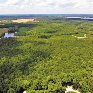 Photo of SOLD!!  83 Acres of Timber and Hunting Land For Sale in Warren County NC!