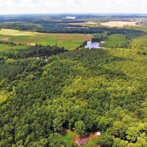 Photo of SOLD!!  83 Acres of Timber and Hunting Land For Sale in Warren County NC!