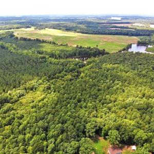 Photo of SOLD!!  83 Acres of Timber and Hunting Land For Sale in Warren County NC!
