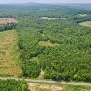 Photo of SOLD!  19 Acres of Residential Hunting Land For Sale in Pittsylvania County VA!