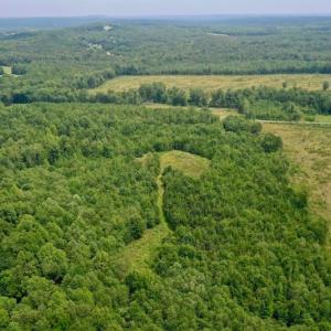 Photo of SOLD!  19 Acres of Residential Hunting Land For Sale in Pittsylvania County VA!