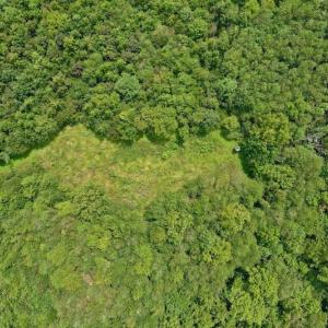 Photo of SOLD!  19 Acres of Residential Hunting Land For Sale in Pittsylvania County VA!