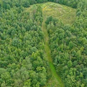 Photo of SOLD!  19 Acres of Residential Hunting Land For Sale in Pittsylvania County VA!