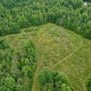 Photo of SOLD!  19 Acres of Residential Hunting Land For Sale in Pittsylvania County VA!